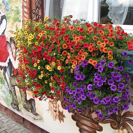 홈스테이 Rezydenz 스클라르스카포렘바